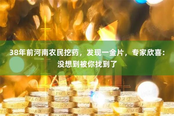 38年前河南农民挖药，发现一金片，专家欣喜：没想到被你找到了