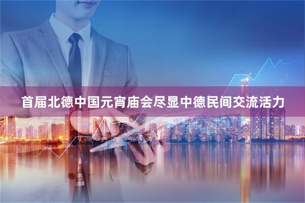 首届北德中国元宵庙会尽显中德民间交流活力