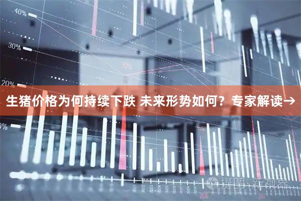 生猪价格为何持续下跌 未来形势如何？专家解读→